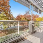 One Bedroom Apartment In Braddon
