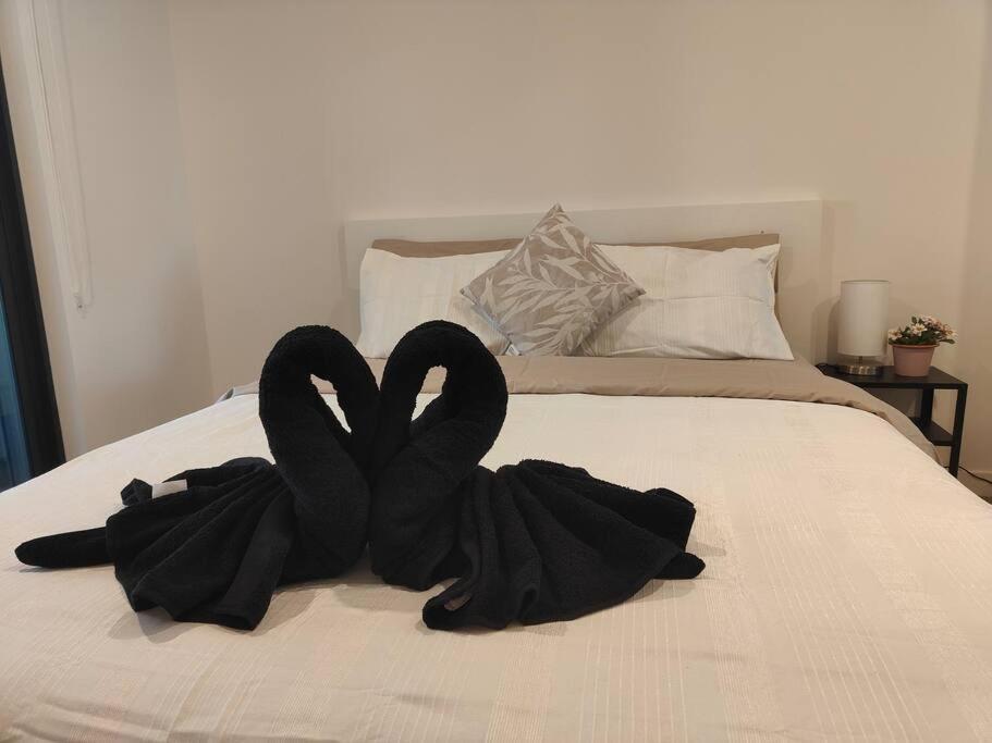 Modern 1-bedroom Unit In Dickson Canberra