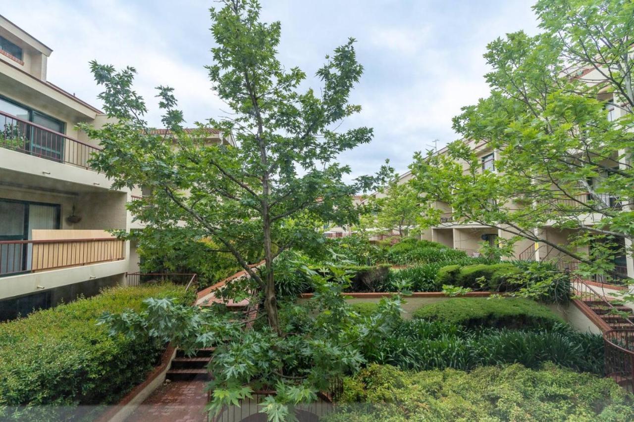 2br Close To Glebe Park And Apartment *