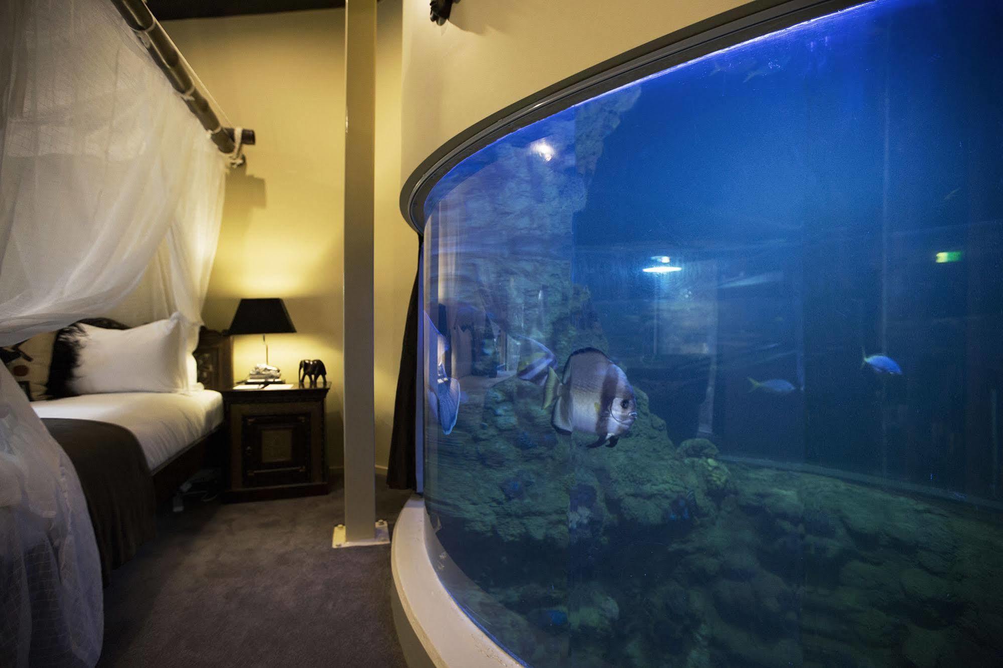 Lodge Jamala Wildlife Canberra