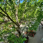 Dana-Spacious Private Room In Shared 2-Bedroom Apartment-2