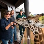 Jamala Wildlife Lodge