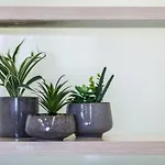 1 Bedroom Apt With Parking Walk To Anu