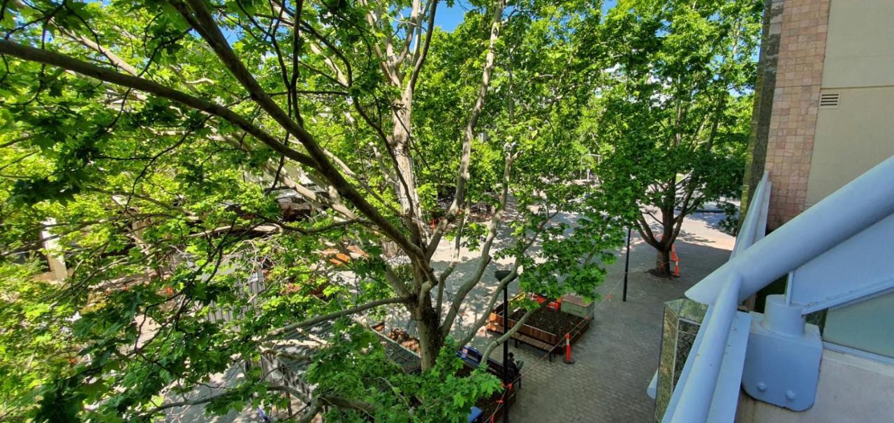 Dana-spacious Private In Shared 2-bedroom Apartment-2 *