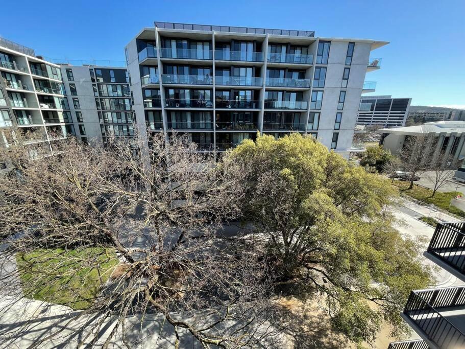 Lovely 1 Bedroom + Free Parking Canberra