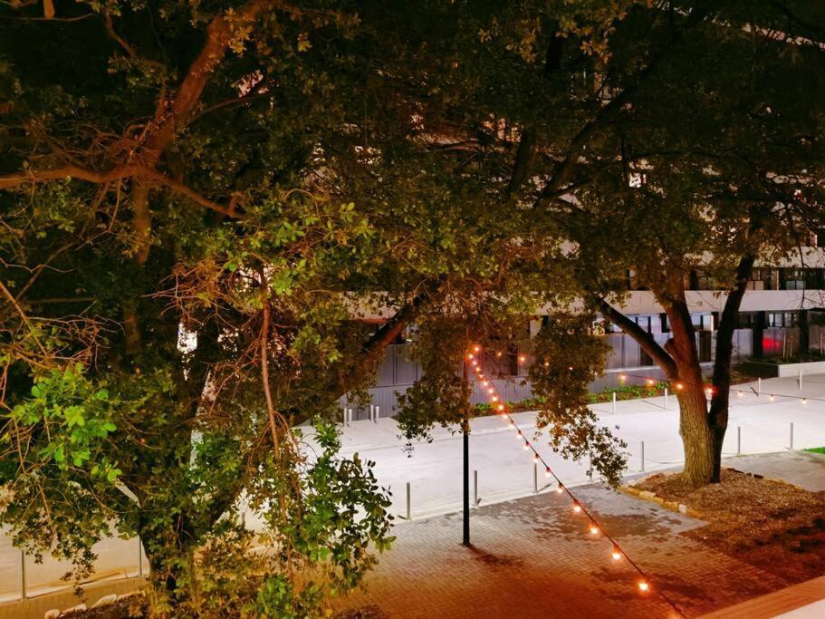 Brand New Luxe Sol Cbd One Bedroom Apartamento