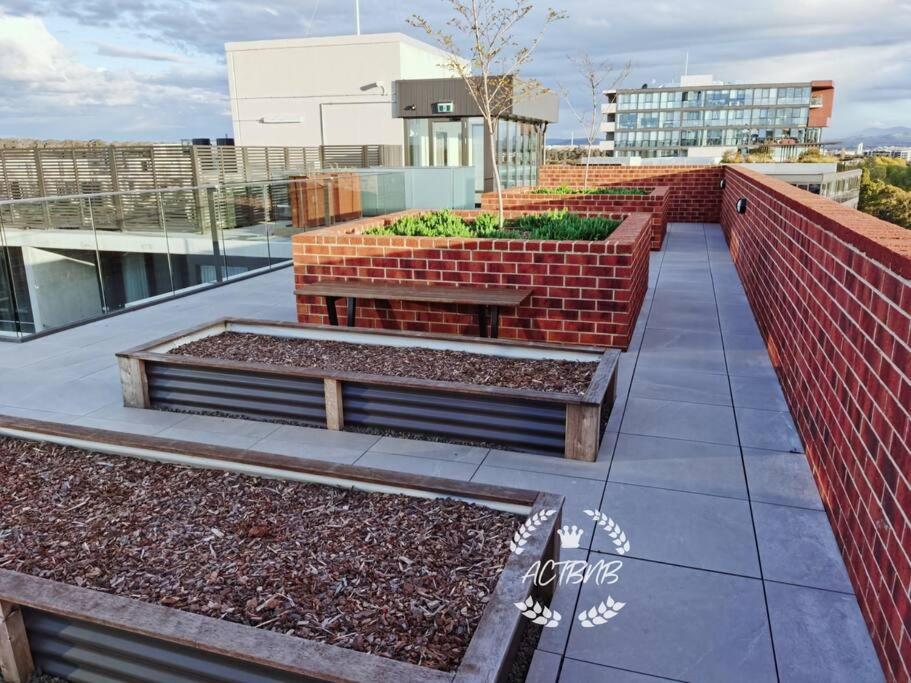 Cbd High Level View 1br Free Parking