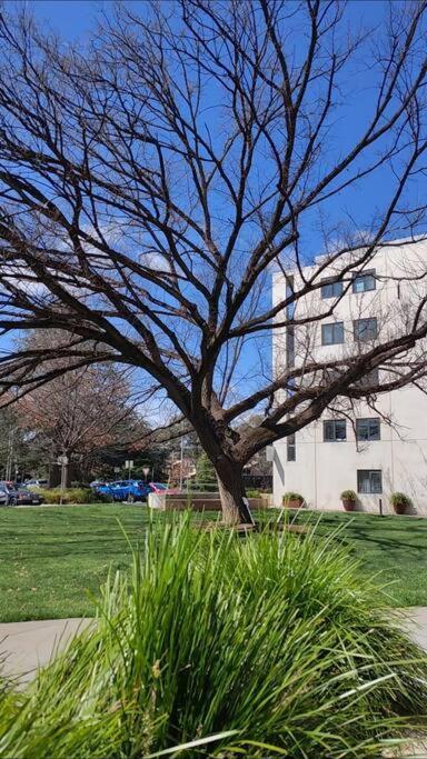 Apartamento Sunny 2-bedroom @the Heart Of Camberra
