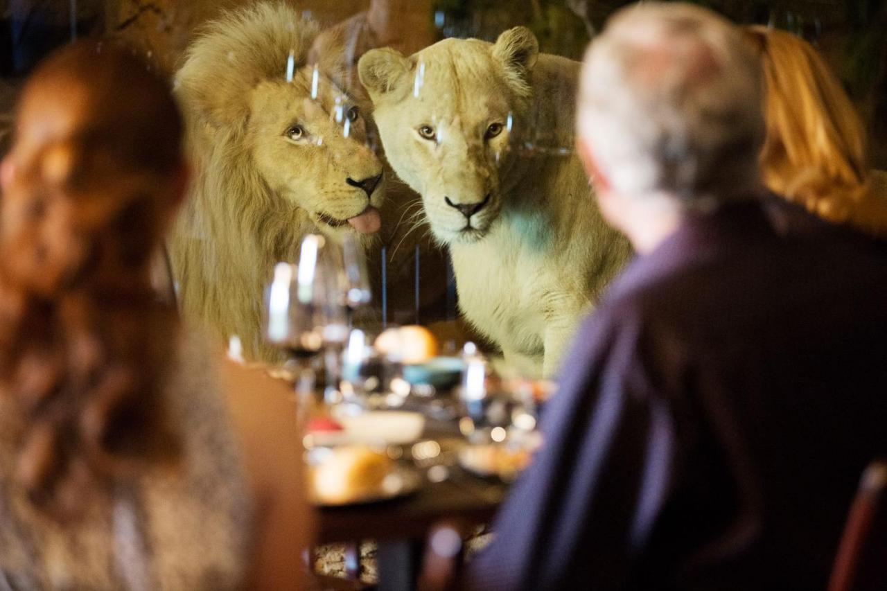 Jamala Wildlife Lodge *