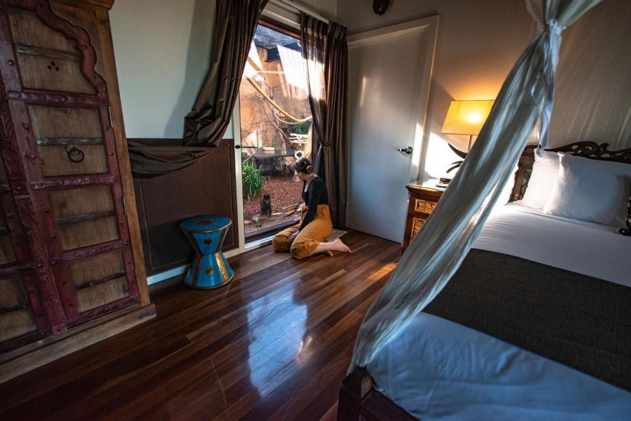 Lodge Jamala Wildlife