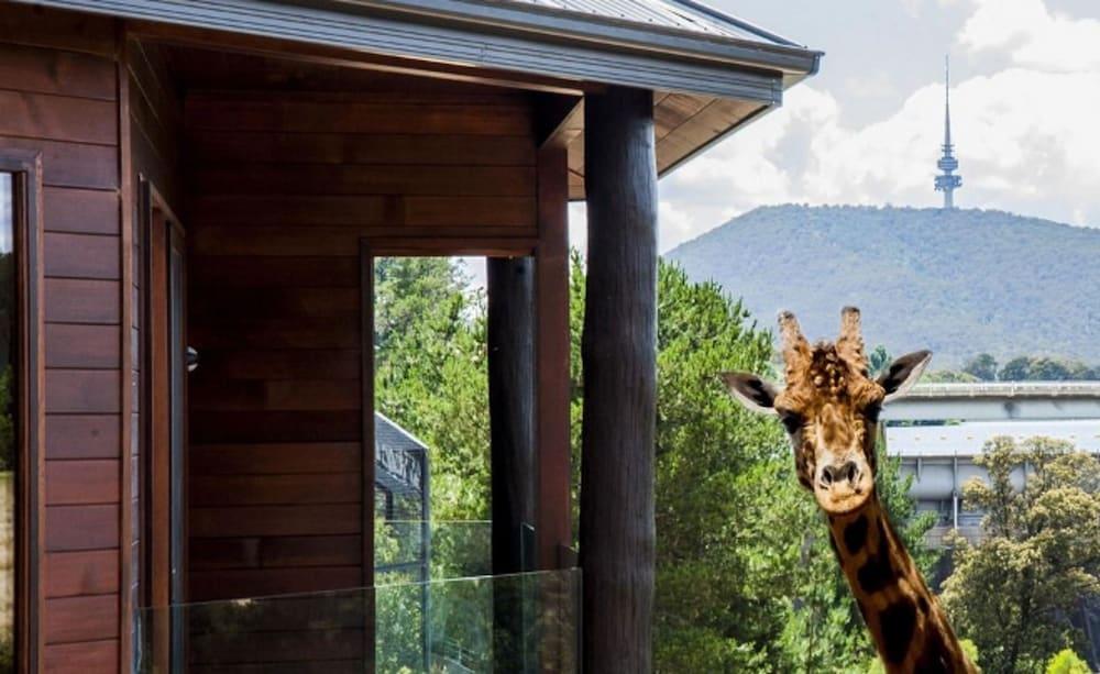 Lodge Jamala Wildlife