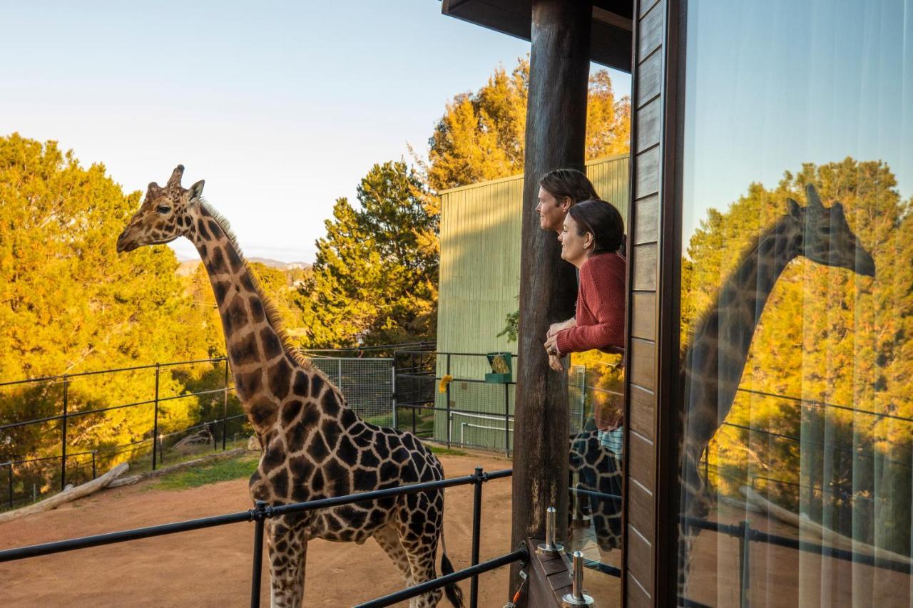 Jamala Wildlife * Canberra