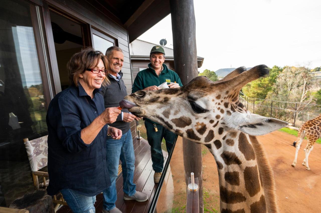Jamala Wildlife Lodge
