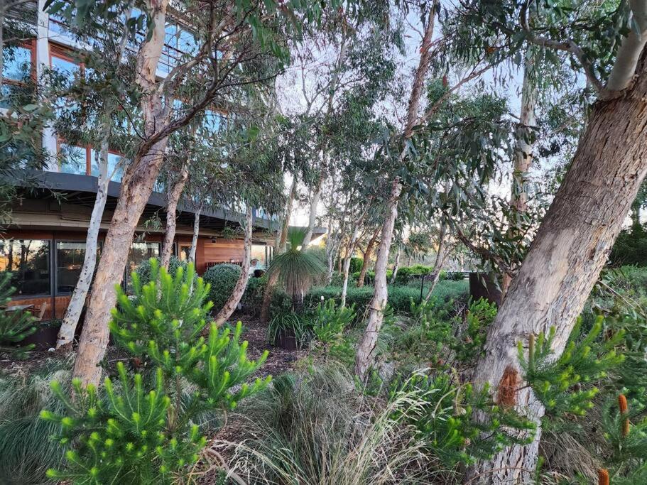 Apartment Green Rose ~ Peaceful • Green • Haven