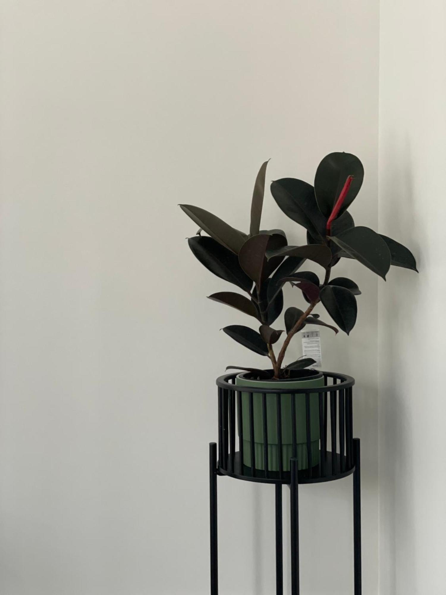 New Modern 1br Near Dickson Apartment