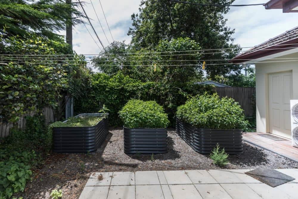 3 Bdrm 2 Bthrm House Close To Cbd & Anu Canberra