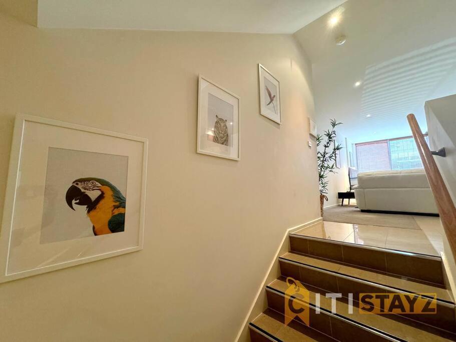 Pretty Penthouse - Close To Anu *