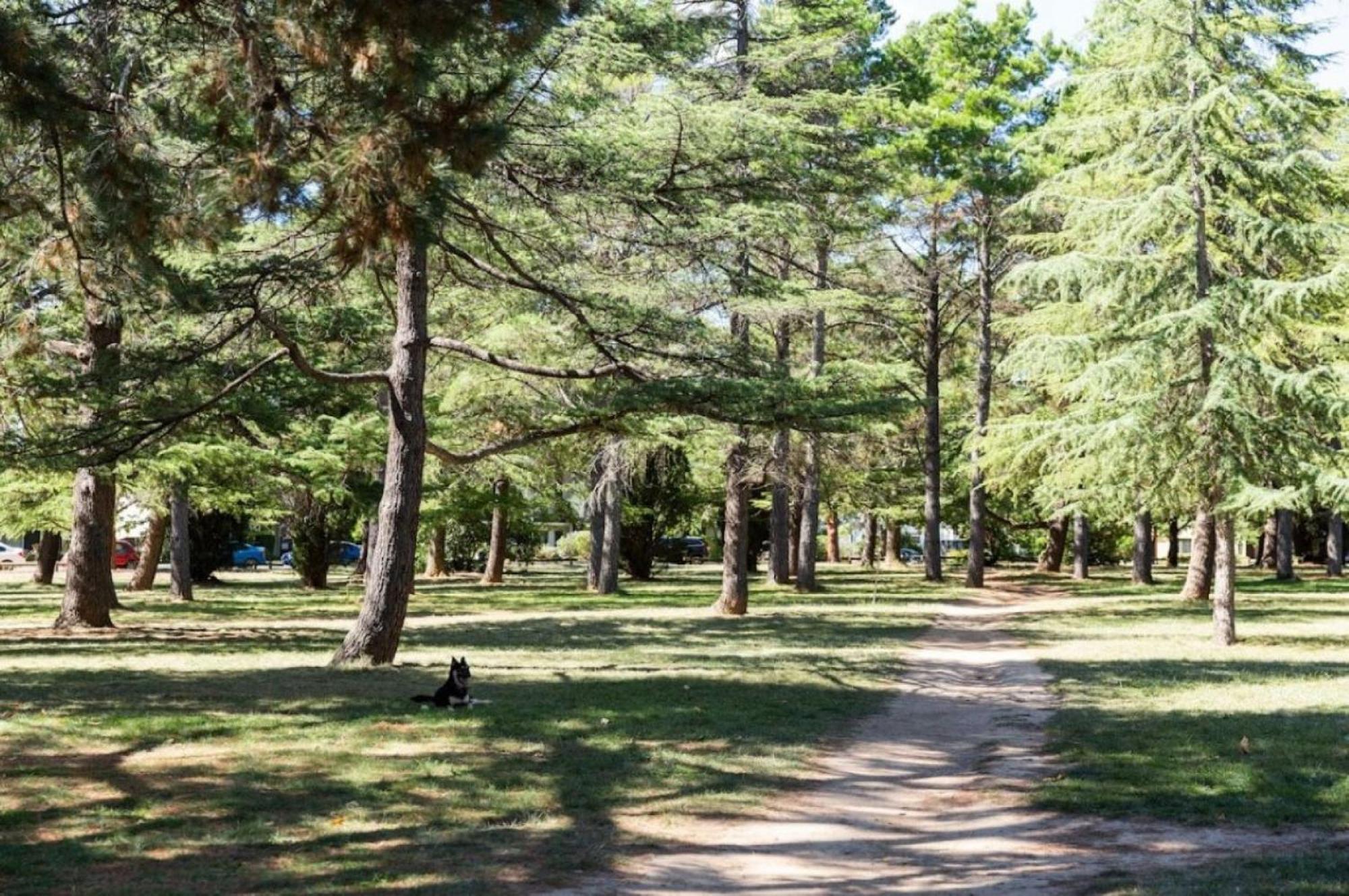 Sophisticated Inner-city 2-bed With Outdoor Dining Canberra