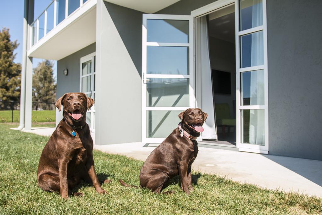Hotel Abode Narrabundah Camberra