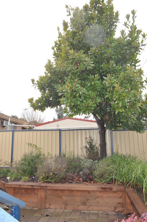 The Pommy Tree Canberra