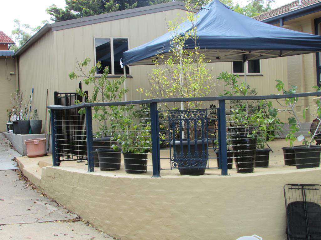 The Pommy Tree Bed & Breakfast Canberra