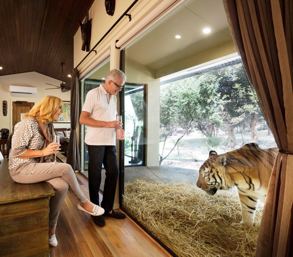 Lodge Jamala Wildlife *