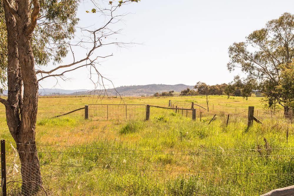 Greenleigh Central 2* Canberra