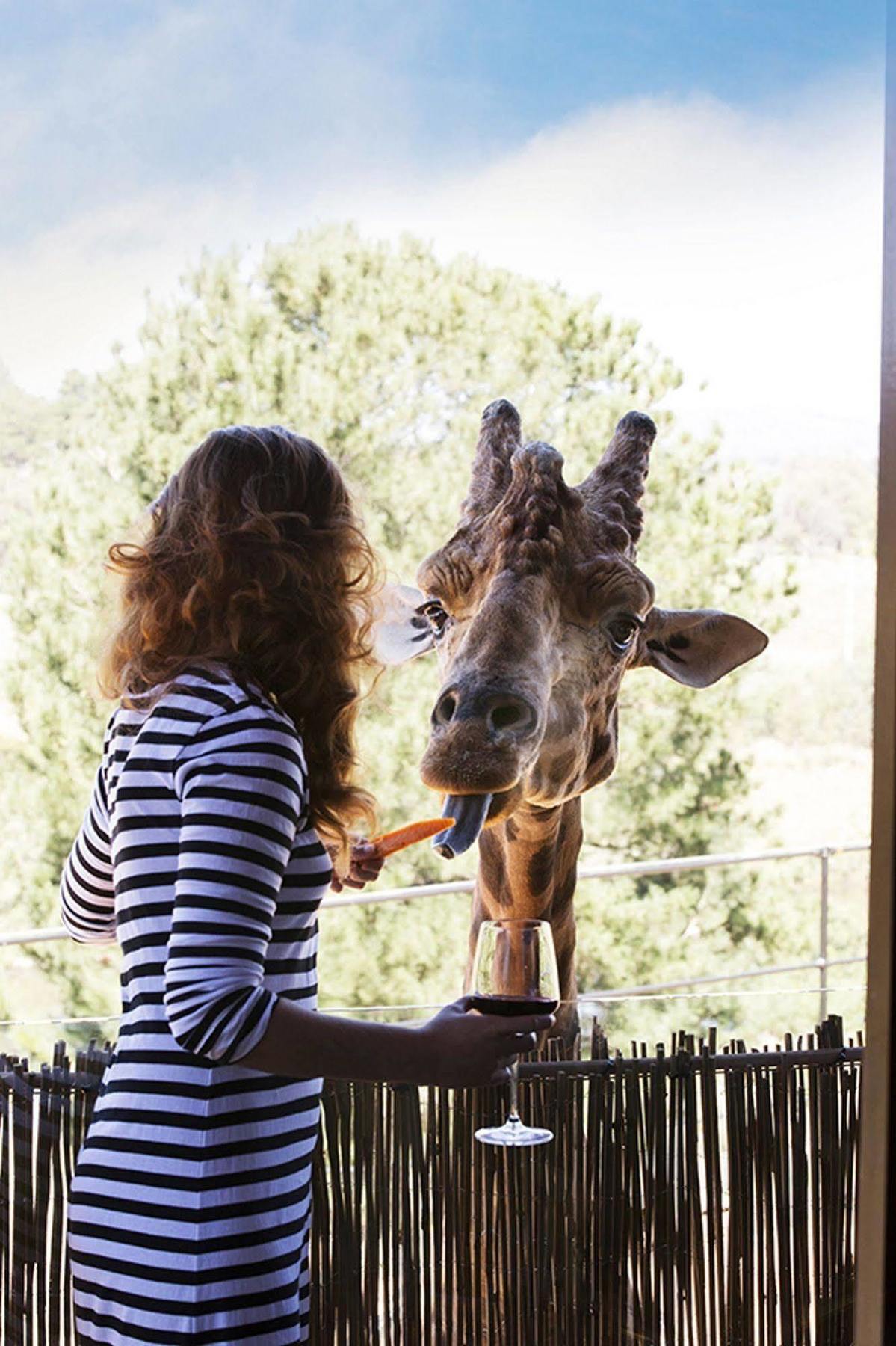 Jamala Wildlife * Canberra