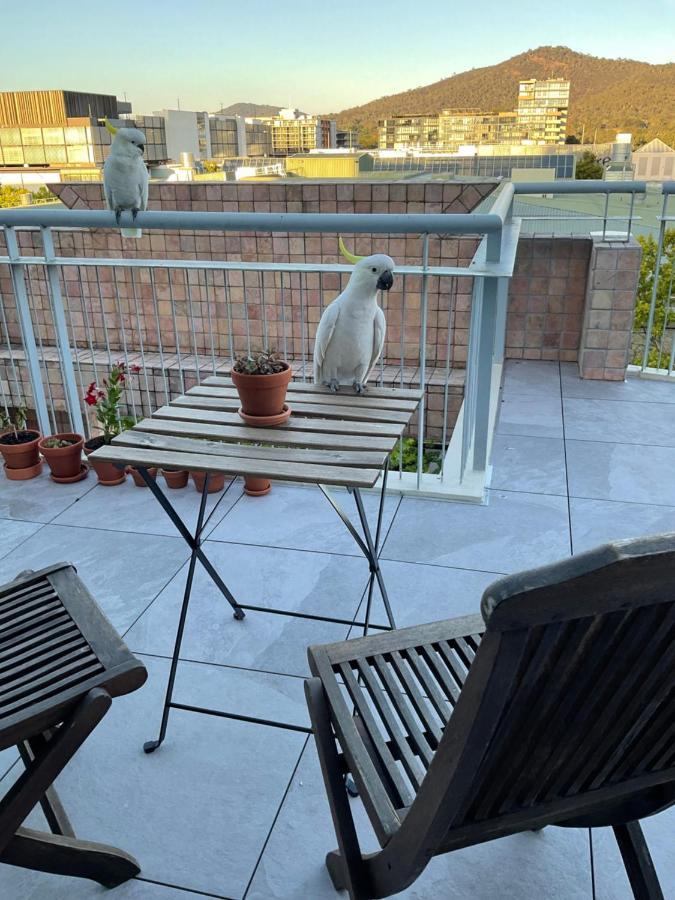 Private With Ensuite In The Cbd Homestay