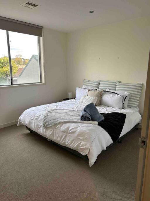 Plush 2bedroom Turner Canberra