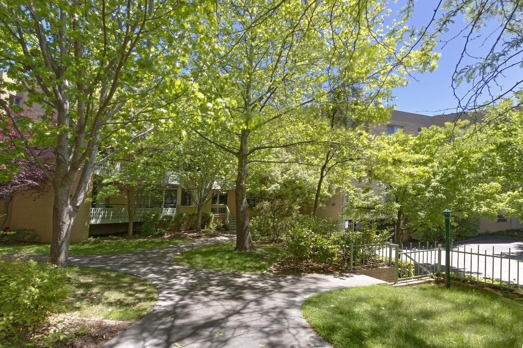 Apartment Kingston Terrace Serviced *