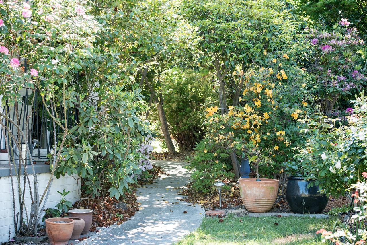 The White House Bed & Breakfast Canberra